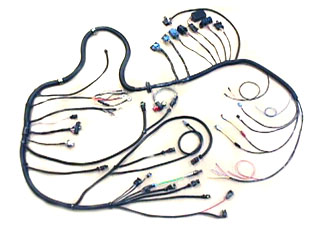 Custom Engine Control Harness LS1, LS6 Corvette or others