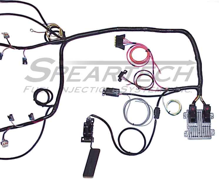 Stand Alone Harness/ECM Package for the LS2/LS7 58X engines